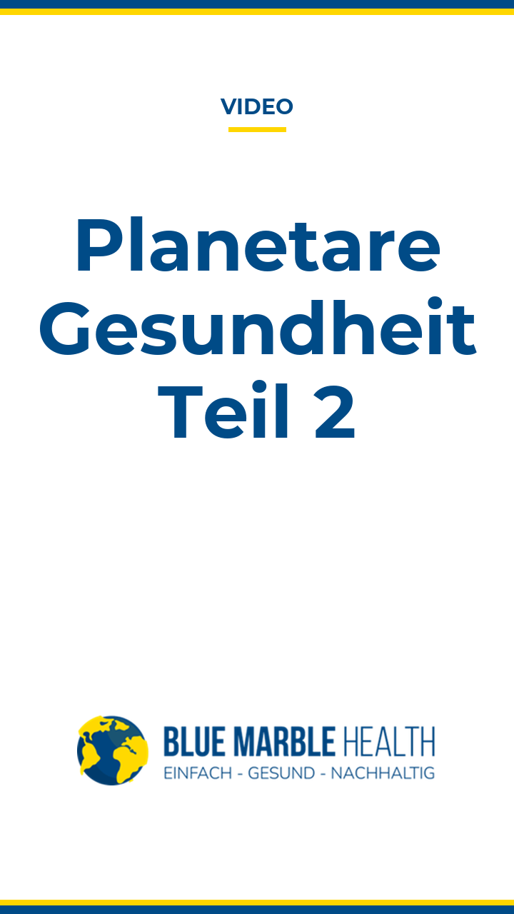 Zusammenfassung – Planetare Gesundheit Teil 2